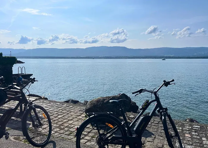 Le Relais Du Leman *